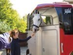 Ifor Williams – Hbx 506 – 2 Places – Neuf – Image 5